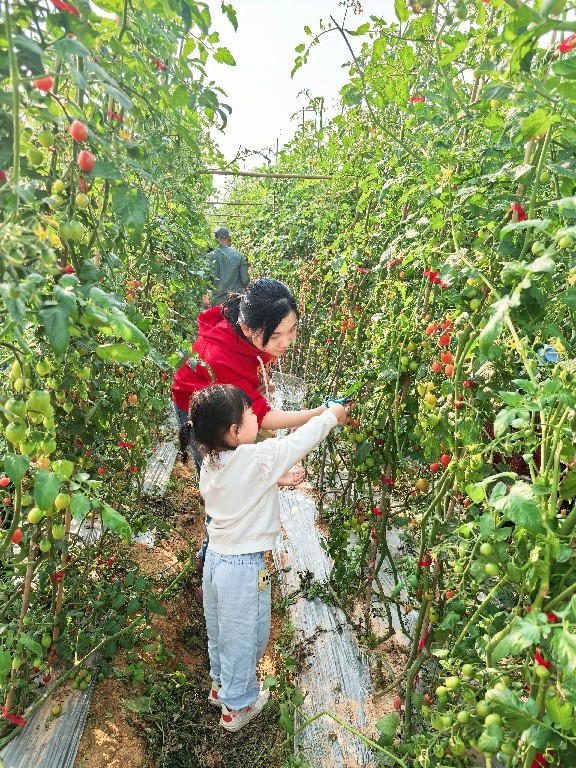 福禄欢喜 共悦生辰丨集团第一季度员工生日会(图15) 福禄欢喜 共悦生辰丨集团第一季度员工生日会(图15)