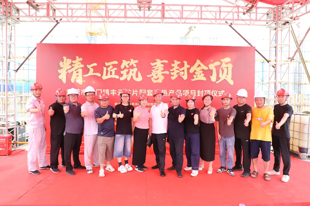 精工筑双产  聚力启新篇丨祝贺塘厦铭科项目、虎门丰云项目喜封金顶(图15)